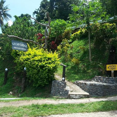 Gecko Lodge Fiji Savusavu Zewnętrze zdjęcie