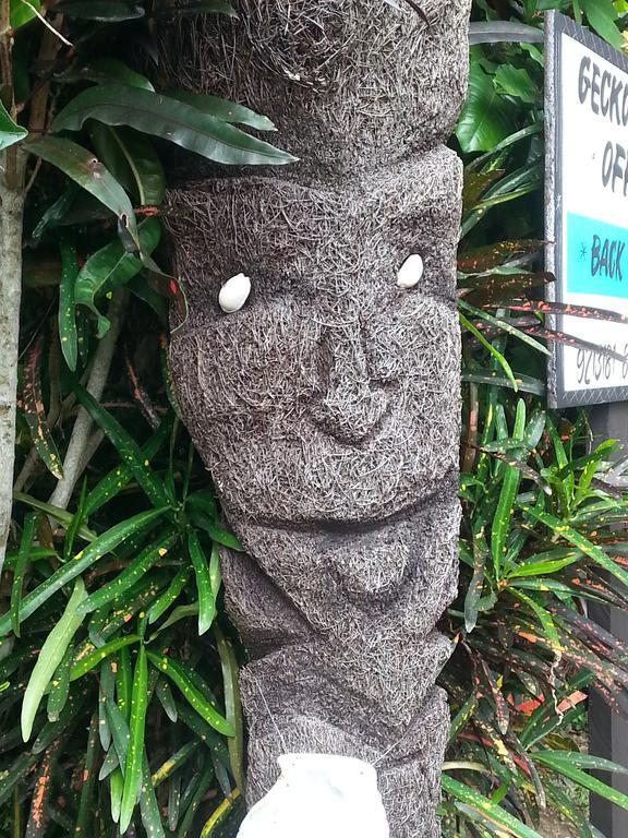 Gecko Lodge Fiji Savusavu Zewnętrze zdjęcie