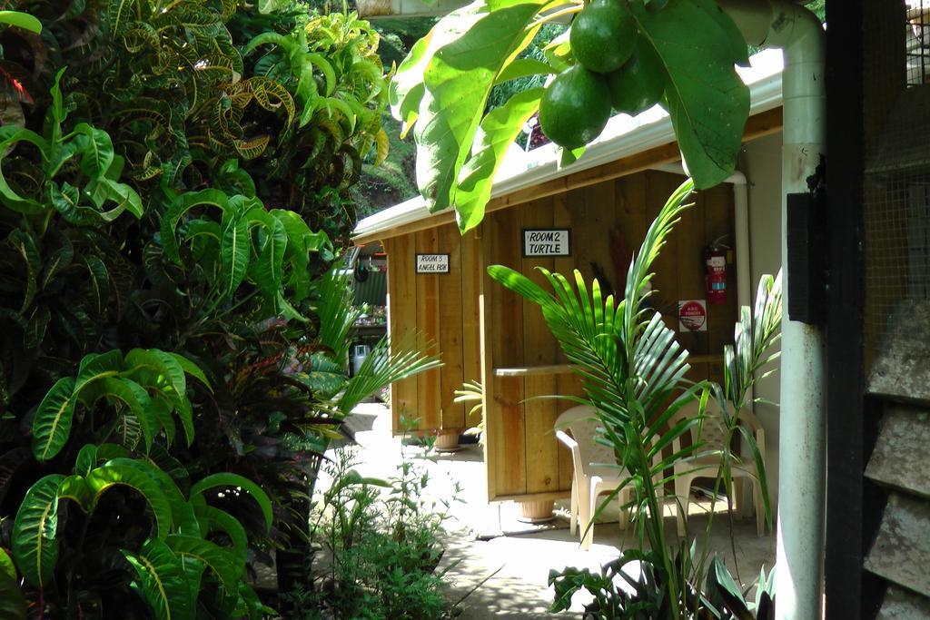 Gecko Lodge Fiji Savusavu Zewnętrze zdjęcie