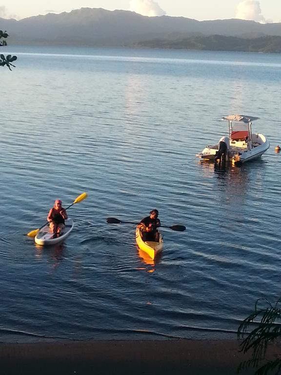 Gecko Lodge Fiji Savusavu Zewnętrze zdjęcie