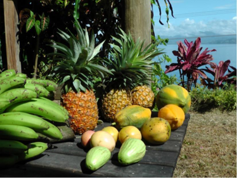 Gecko Lodge Fiji Savusavu Zewnętrze zdjęcie