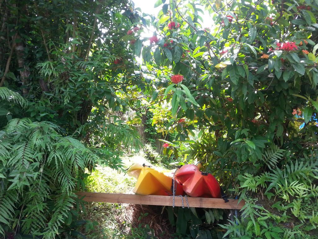Gecko Lodge Fiji Savusavu Zewnętrze zdjęcie