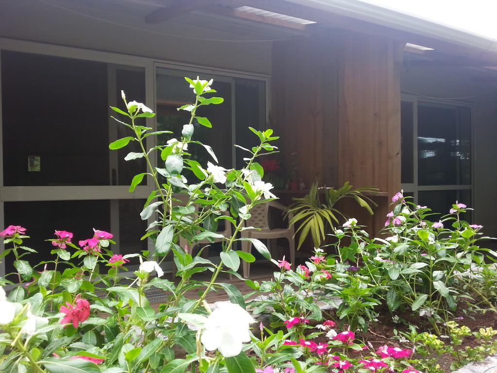 Gecko Lodge Fiji Savusavu Zewnętrze zdjęcie