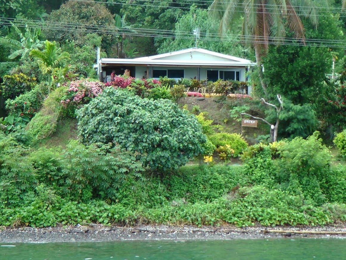 Gecko Lodge Fiji Savusavu Zewnętrze zdjęcie